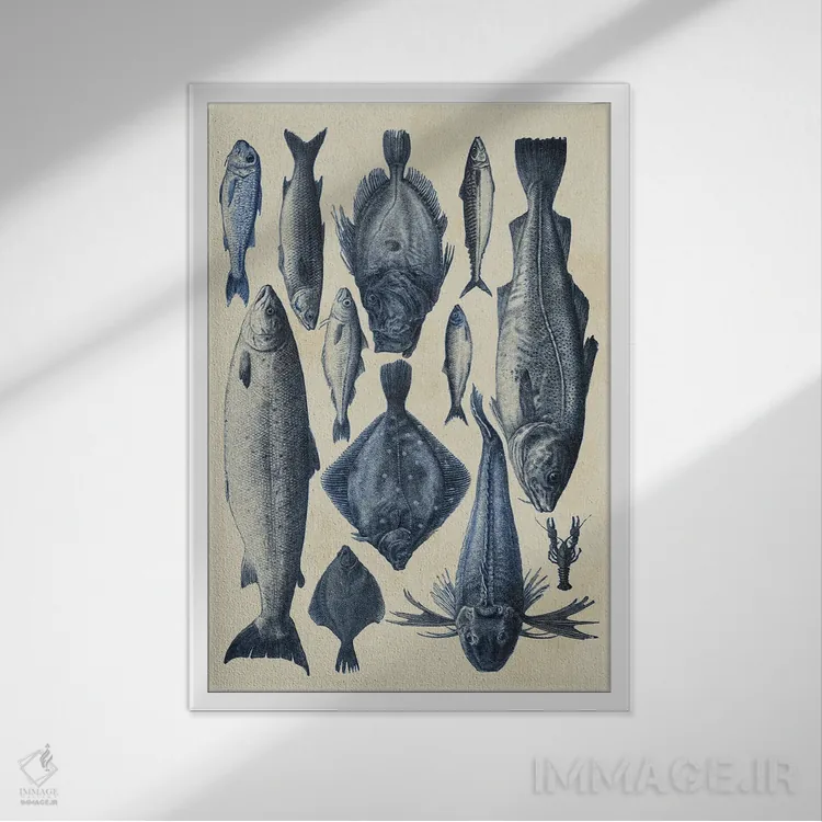 تابلو دکوراتیو نمودار ماهی آبی ۱ اثر آلیشیا لانگلی - نمای قابدار سفید