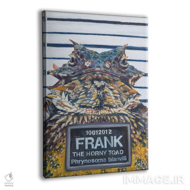 تابلو دکوراتیو Frank, The Horny Toad,فرانک وزغ شاخدار اثر لیزا گلدفارب - نمای پرسپکتیو محصول