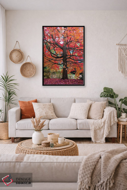 تابلو دکوراتیو افرا شگفت انگیز اثر لارس فان ده خور - D4B