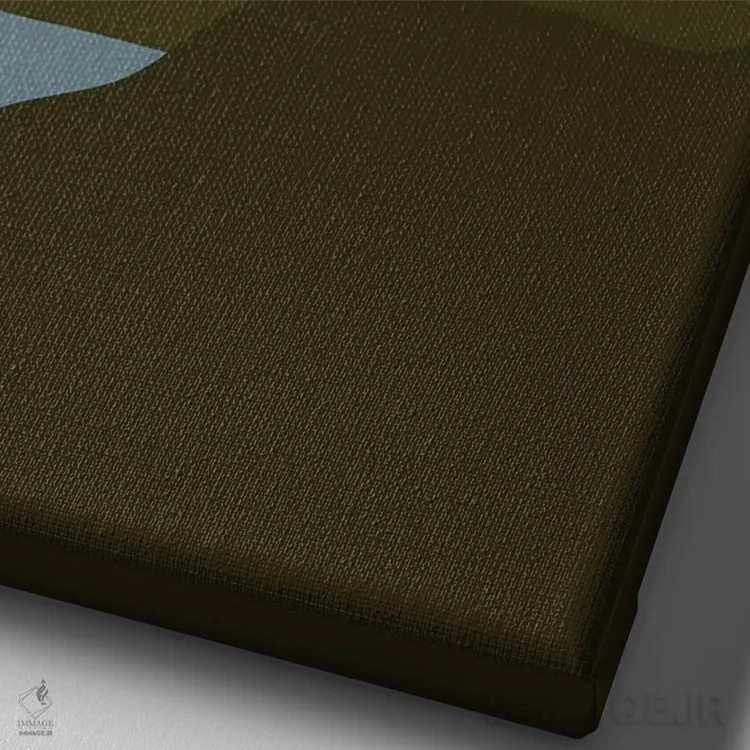 تابلو دکوراتیو چشم انداز گربه XX اثر لیم هنگ سوی - نمای نزدیک بافت بوم