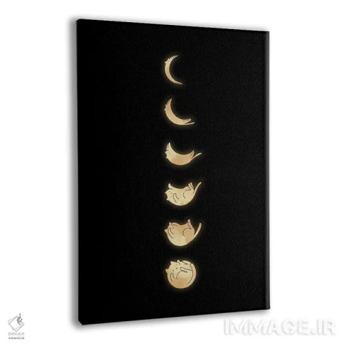 تابلو دکوراتیو منظره گربه شماره ۵۷ اثر لیم هنگ سوی - نمای پرسپکتیو محصول