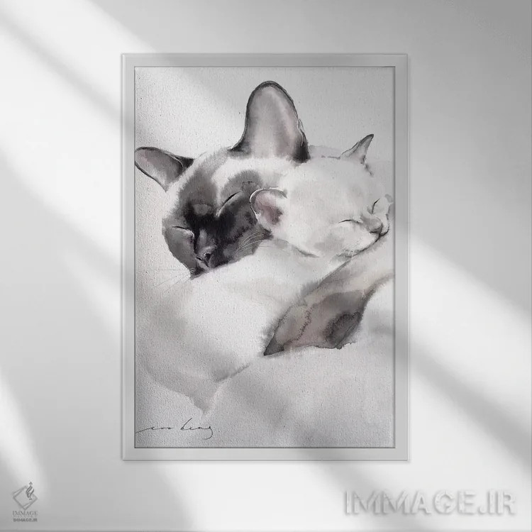 تابلو دکوراتیو همدلی ۲ اثر سو بنگ لیم - نمای قابدار سفید