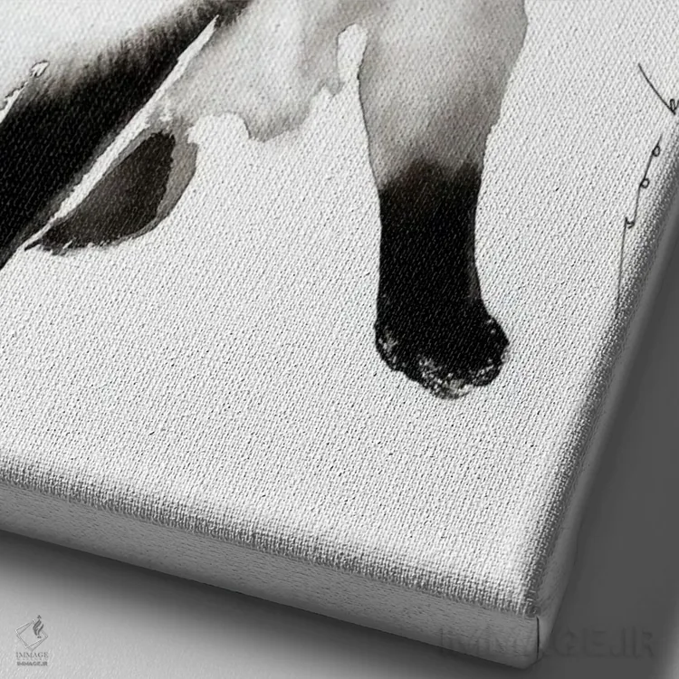 تابلو دکوراتیو ظرافت مخملی ۲ اثر سو بنگ لیم - نمای نزدیک بافت بوم