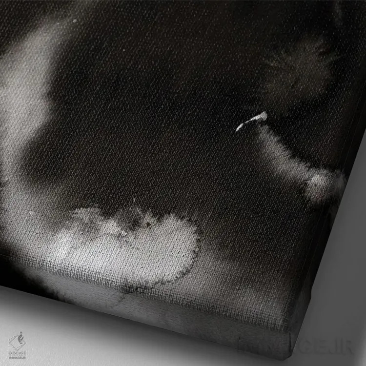 تابلو دکوراتیو دنبال من بیا اثر سو بنگ لیم - نمای نزدیک بافت بوم