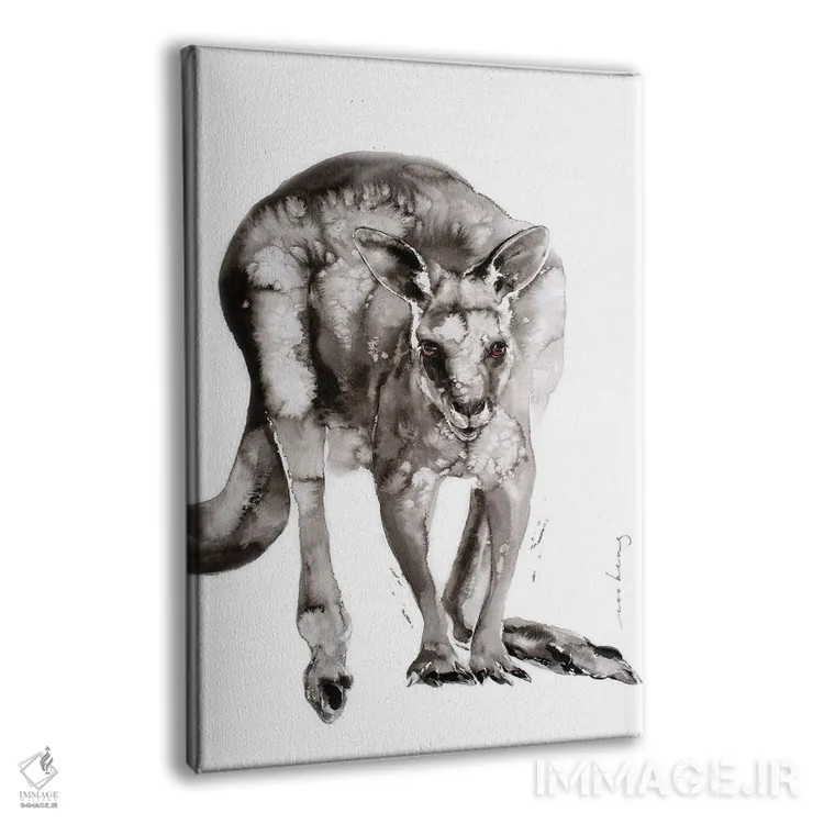 تابلو دکوراتیو پرش استرالیایی اثر سو بنگ لیم - نمای پرسپکتیو محصول