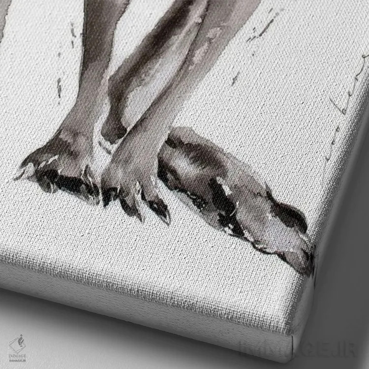 تابلو دکوراتیو پرش استرالیایی اثر سو بنگ لیم - نمای نزدیک بافت بوم