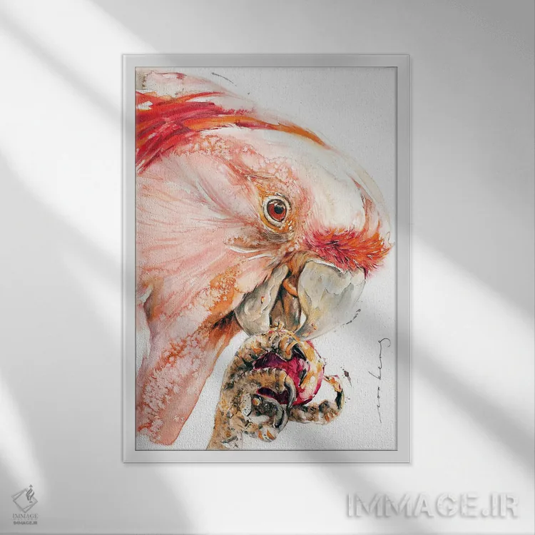 تابلو دکوراتیو کاکاتوآ اثر سو بنگ لیم - نمای قابدار سفید