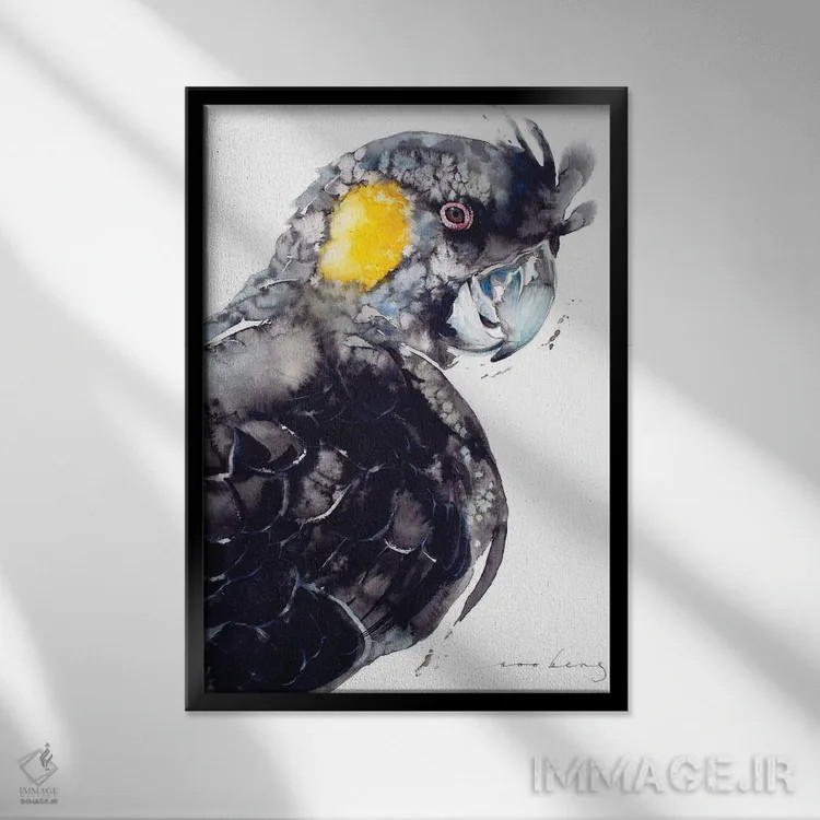 تابلو دکوراتیو کاکاتو سیاه دم زرد اثر سو بنگ لیم - نمای قابدار مشکی