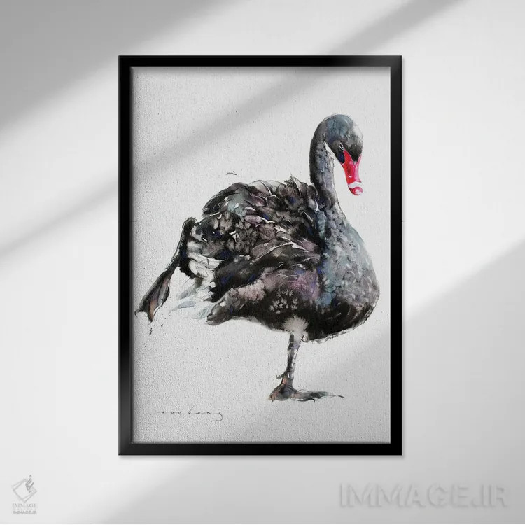 تابلو دکوراتیو باله قوها اثر سو بنگ لیم - نمای قابدار مشکی