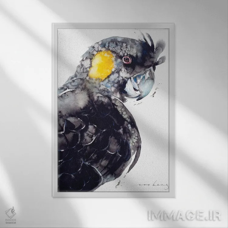 تابلو دکوراتیو کاکاتو سیاه دم زرد اثر سو بنگ لیم - نمای قابدار سفید