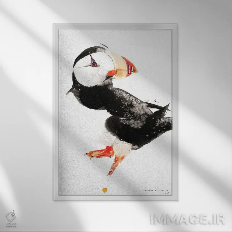 تابلو دکوراتیو پافین اثر سو بنگ لیم - نمای قابدار سفید