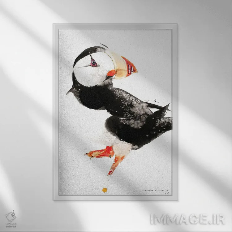 تابلو دکوراتیو پافین اثر سو بنگ لیم - نمای قابدار سفید