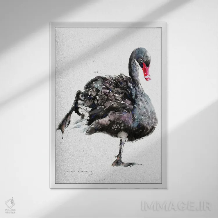 تابلو دکوراتیو باله قوها اثر سو بنگ لیم - نمای قابدار سفید