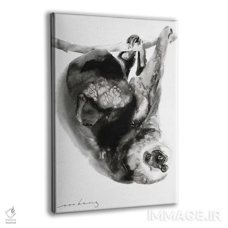 تابلو دکوراتیو تنبلی I اثر سو بنگ لیم - نمای پرسپکتیو محصول