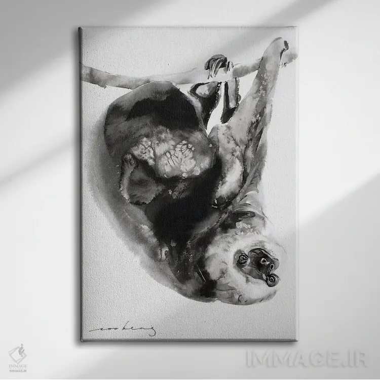 تابلو دکوراتیو تنبلی I اثر سو بنگ لیم - نمای روبهرو روی دیوار