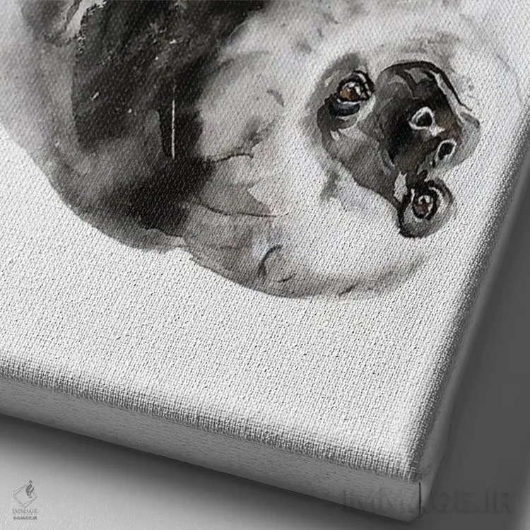 تابلو دکوراتیو تنبلی I اثر سو بنگ لیم - نمای نزدیک بافت بوم