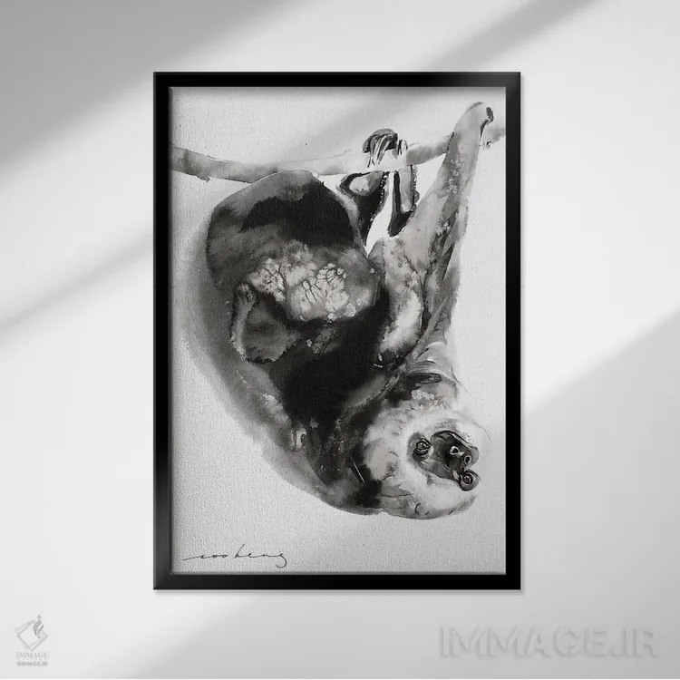 تابلو دکوراتیو تنبلی I اثر سو بنگ لیم - نمای قابدار مشکی