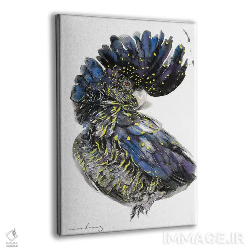 تابلو دکوراتیو کاکاتوی سیاه استرالیایی II اثر سو بنگ لیم - نمای پرسپکتیو محصول