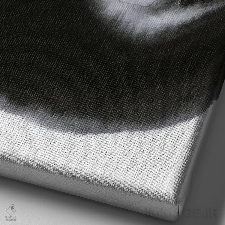 تابلو دکوراتیو آرامش گربه سان اثر سو بنگ لیم - نمای نزدیک بافت بوم