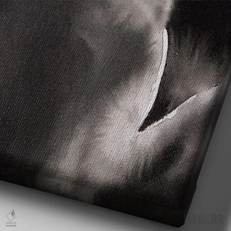 تابلو دکوراتیو گربه زیر نور ماه اثر سو بنگ لیم - نمای نزدیک بافت بوم