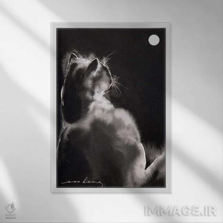 تابلو دکوراتیو گربه زیر نور ماه اثر سو بنگ لیم - نمای قابدار سفید