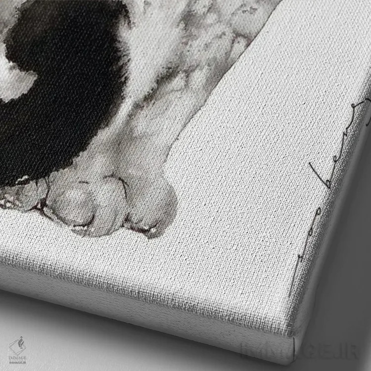 تابلو دکوراتیو افسون گربه اثر سو بنگ لیم - نمای نزدیک بافت بوم