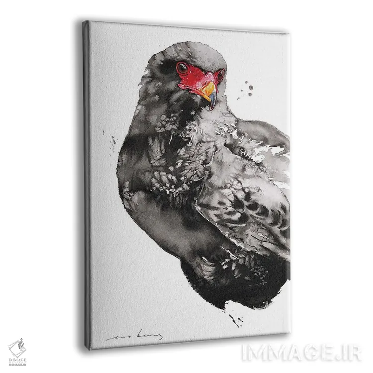 تابلو دکوراتیو شاهین-عقاب اثر سو بنگ لیم - نمای پرسپکتیو محصول
