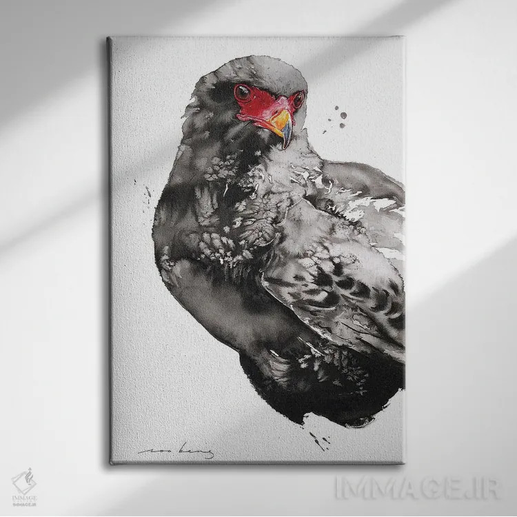 تابلو دکوراتیو شاهین-عقاب اثر سو بنگ لیم - نمای روبهرو روی دیوار