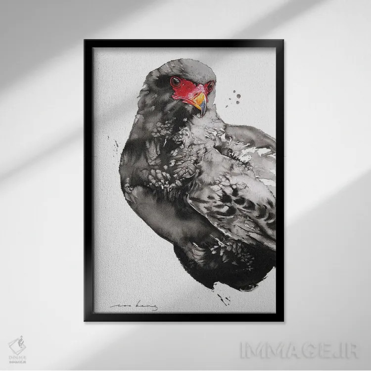 تابلو دکوراتیو شاهین-عقاب اثر سو بنگ لیم - نمای قابدار مشکی