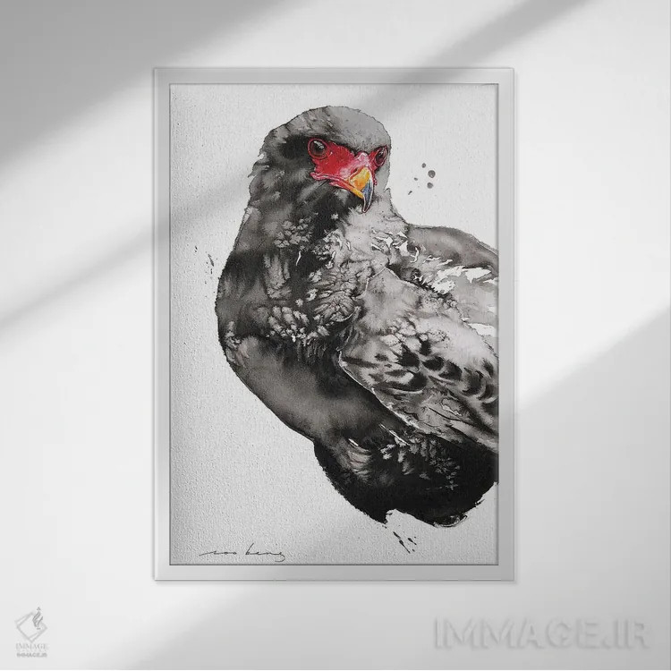 تابلو دکوراتیو شاهین-عقاب اثر سو بنگ لیم - نمای قابدار سفید