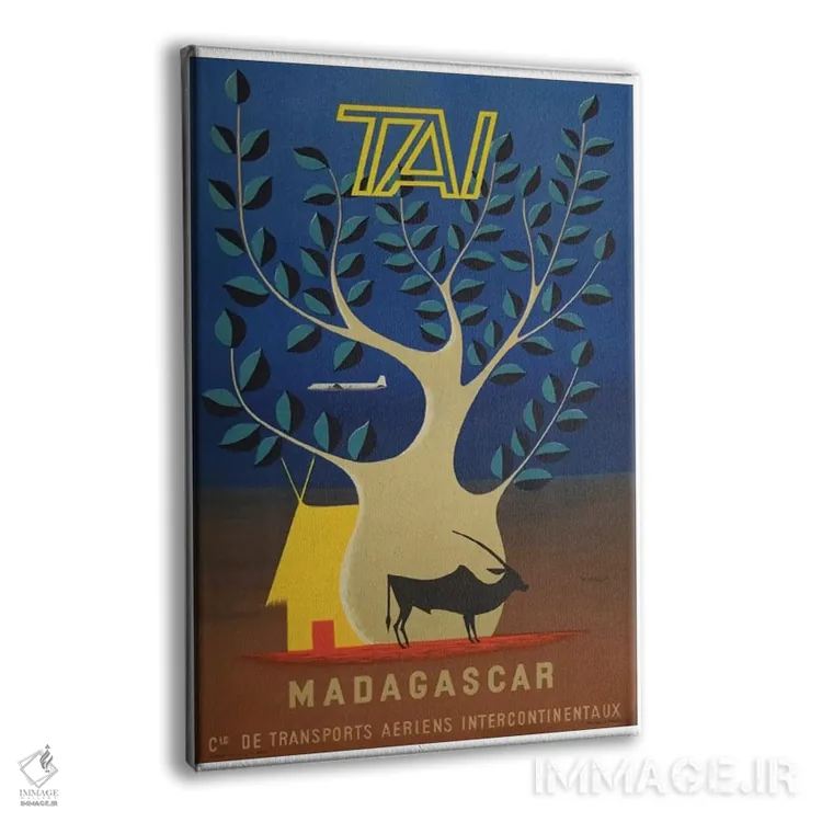 تابلو دکوراتیو ماداگاسکار - نمای پرسپکتیو محصول