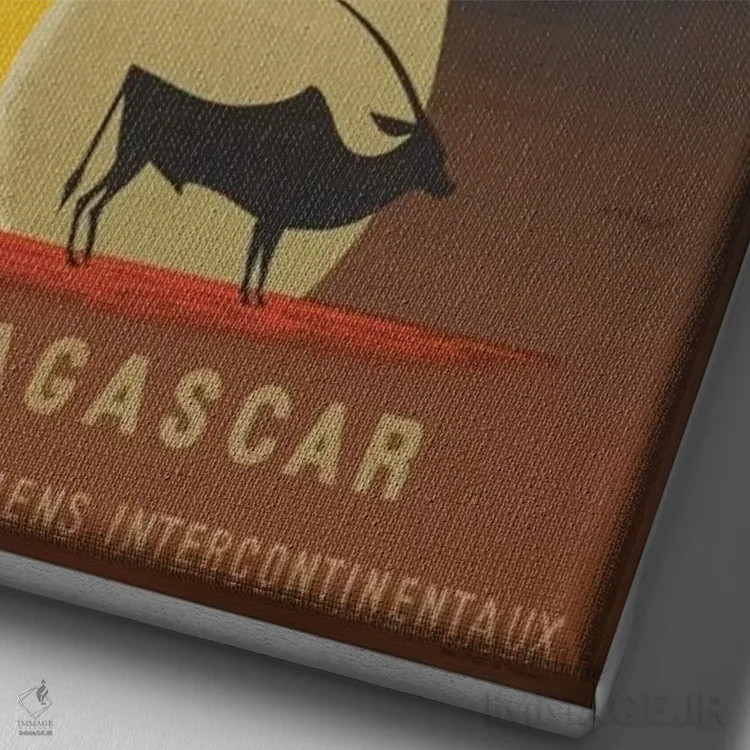 تابلو دکوراتیو ماداگاسکار - نمای نزدیک بافت بوم