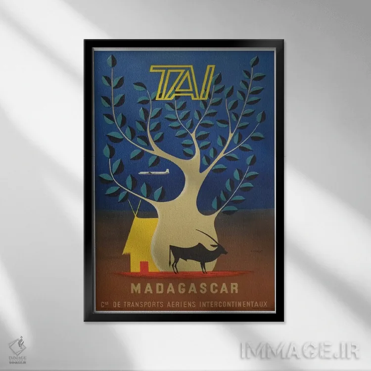 تابلو دکوراتیو ماداگاسکار - نمای قابدار مشکی