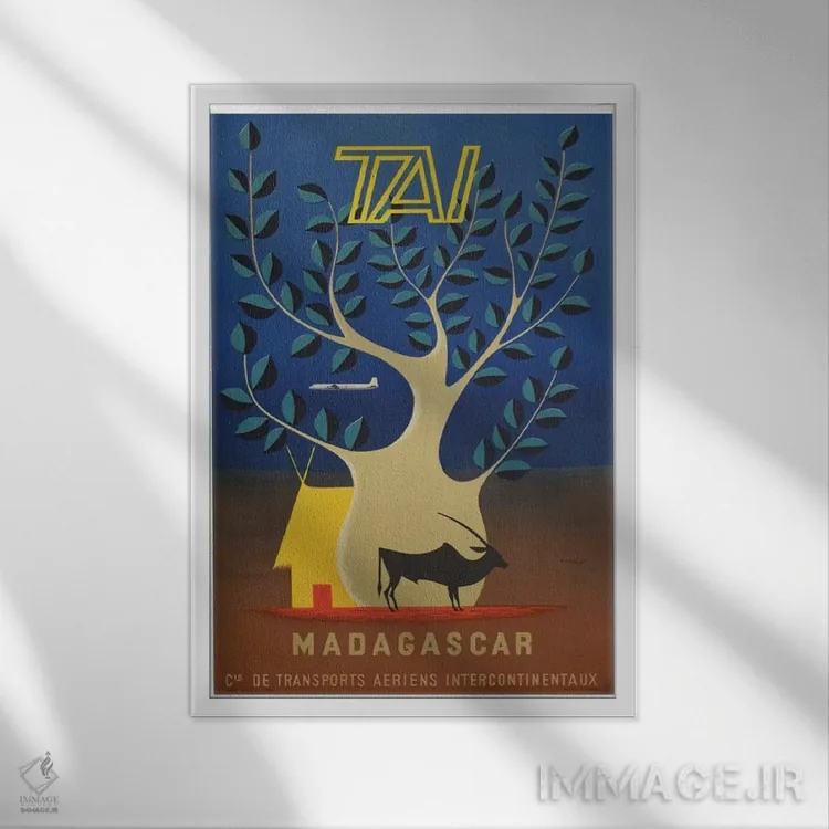 تابلو دکوراتیو ماداگاسکار - نمای قابدار سفید