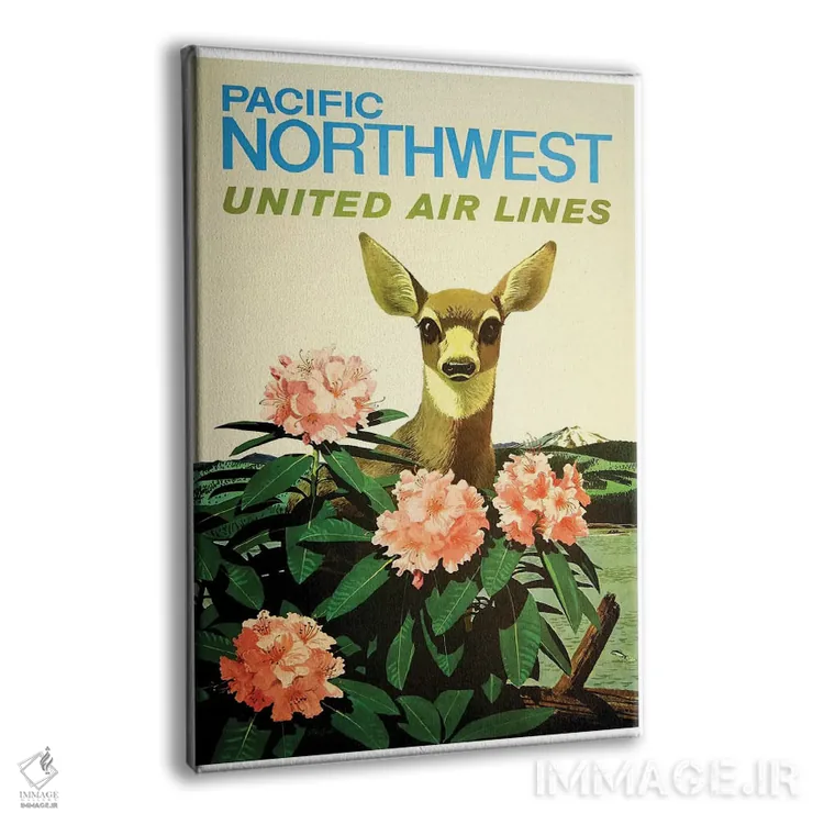 تابلو دکوراتیو شمال غرب آرام، خطوط هوایی یونایتد - نمای پرسپکتیو محصول