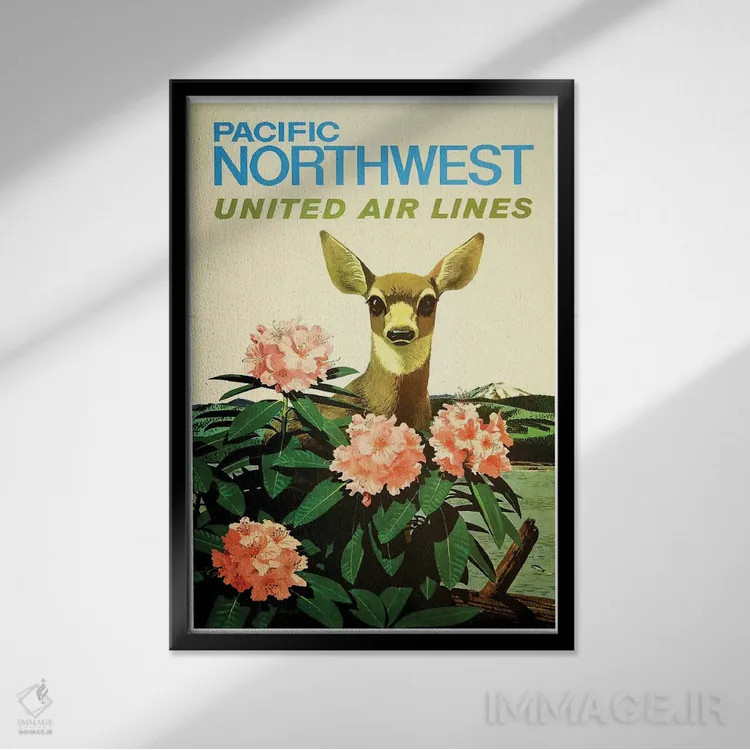 تابلو دکوراتیو شمال غرب آرام، خطوط هوایی یونایتد - نمای قابدار مشکی