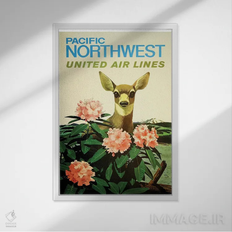 تابلو دکوراتیو شمال غرب آرام، خطوط هوایی یونایتد - نمای قابدار سفید