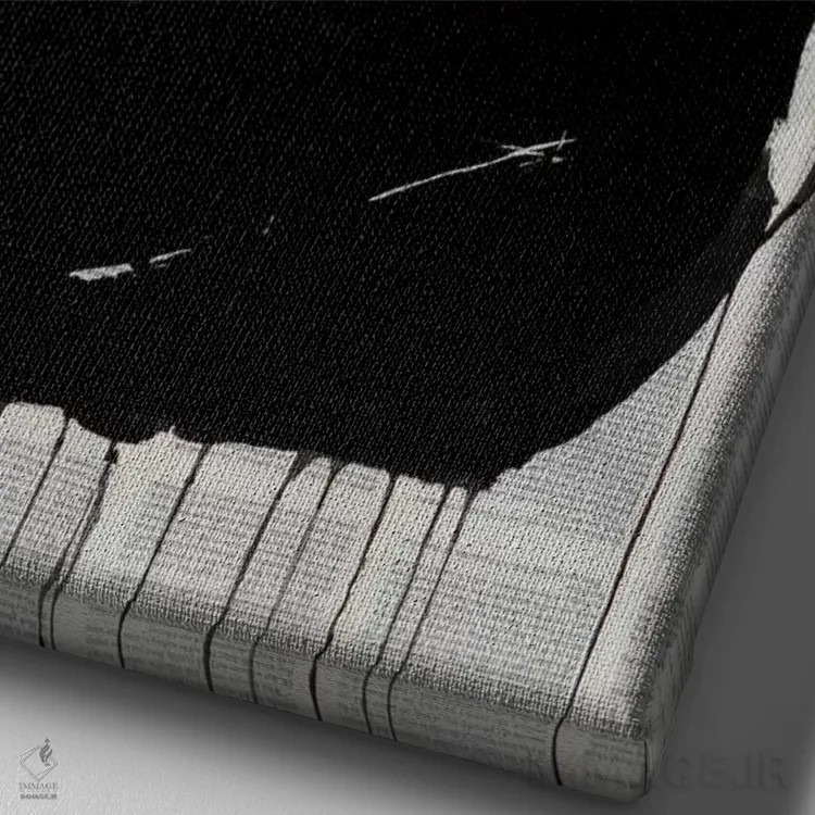 تابلو دکوراتیو عکاس قدیمی اثر لوی جوور - نمای نزدیک بافت بوم