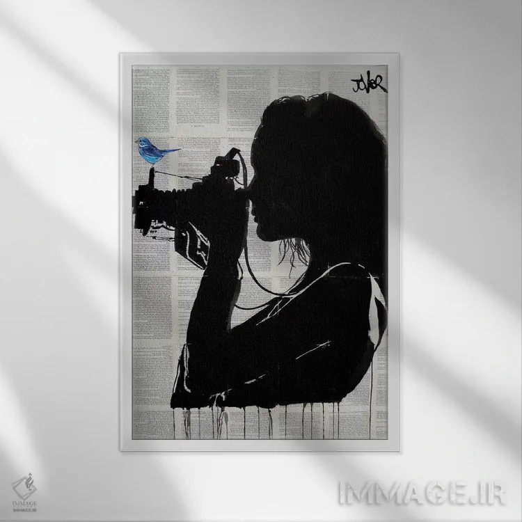 تابلو دکوراتیو عکاس قدیمی اثر لوی جوور - نمای قابدار سفید