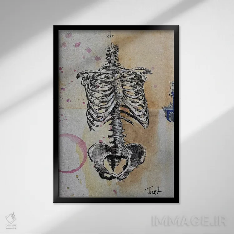 تابلو دکوراتیو قفس اثر لوی جوور - نمای قابدار مشکی