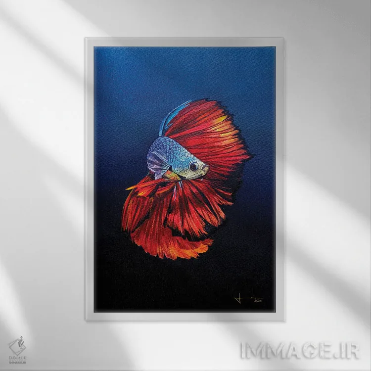 تابلو دکوراتیو بتای قرمز اثر لیام کوموات - نمای قابدار سفید