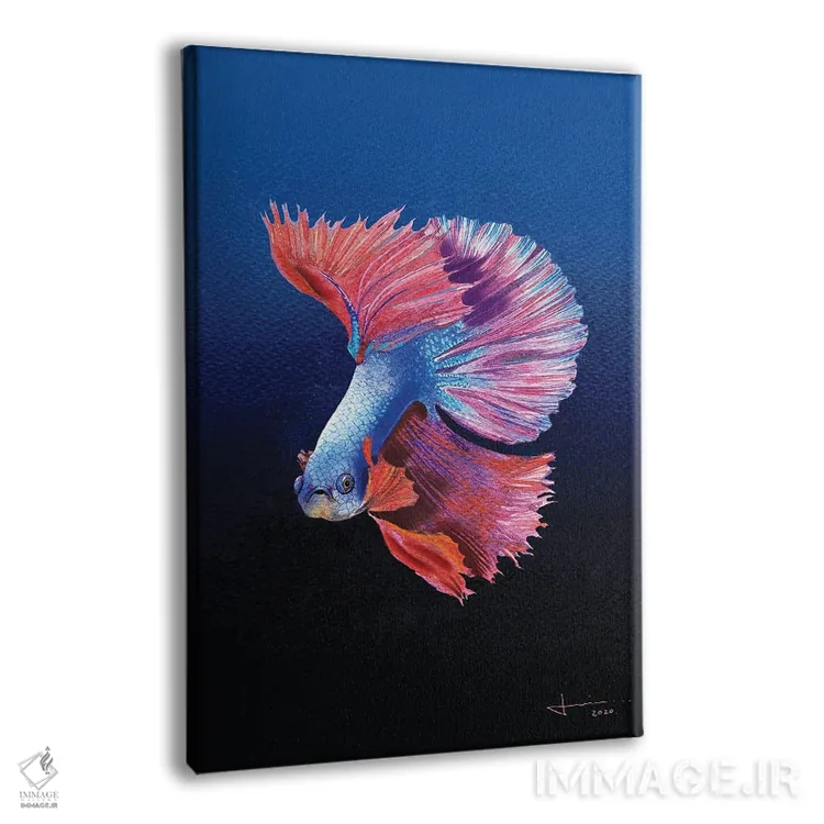 تابلو دکوراتیو سیامی اثر لیام کوموات - نمای پرسپکتیو محصول