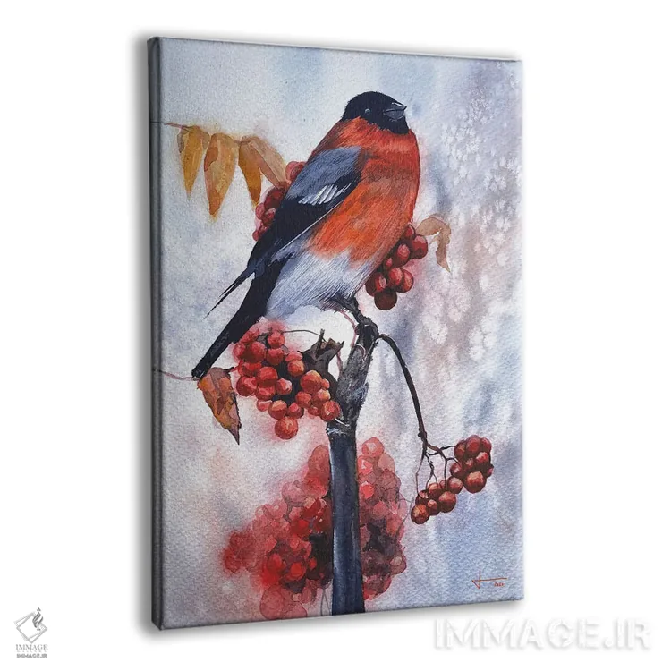 تابلو دکوراتیو سینه سرخ اثر لیام کوموات - نمای پرسپکتیو محصول