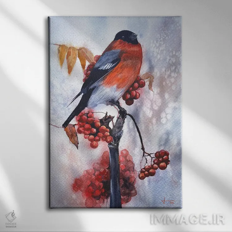 تابلو دکوراتیو سینه سرخ اثر لیام کوموات - نمای روبهرو روی دیوار