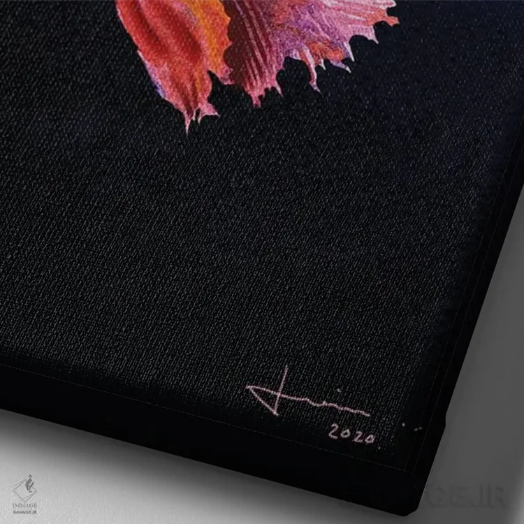 تابلو دکوراتیو سیامی اثر لیام کوموات - نمای نزدیک بافت بوم