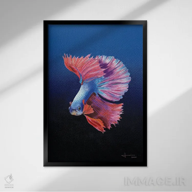 تابلو دکوراتیو سیامی اثر لیام کوموات - نمای قابدار مشکی