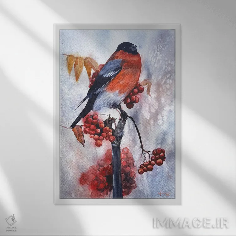 تابلو دکوراتیو سینه سرخ اثر لیام کوموات - نمای قابدار سفید