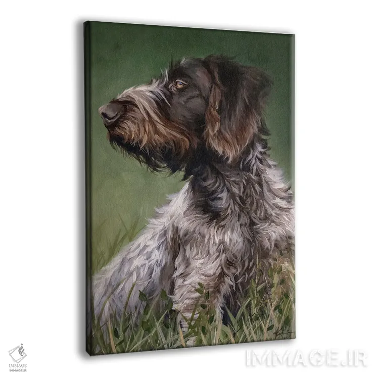 تابلو دکوراتیو پوینتر مو سیمی آلمانی اثر لینزی کیوی - نمای پرسپکتیو محصول