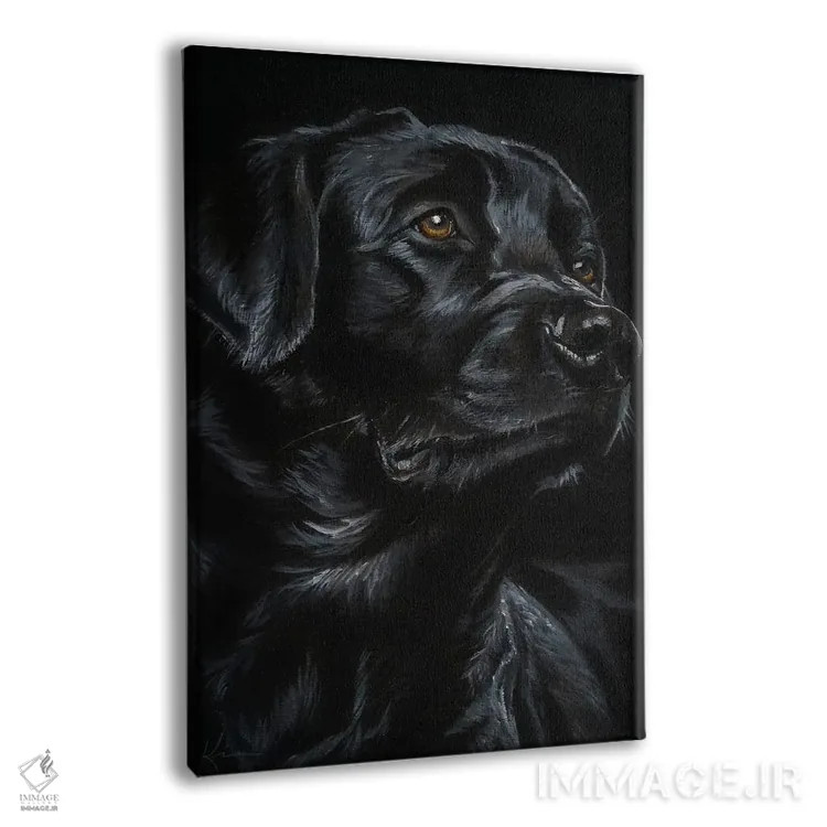 تابلو دکوراتیو لابرادور رتریور سیاه اثر لینزی کیوی - نمای پرسپکتیو محصول