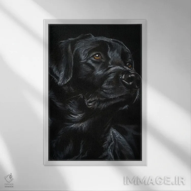 تابلو دکوراتیو لابرادور رتریور سیاه اثر لینزی کیوی - نمای قابدار سفید